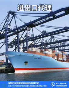 北京进出口报关代理公司 解析蓝海骆驼的出口报关代理服务